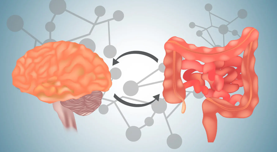 concussion specialist kansas city