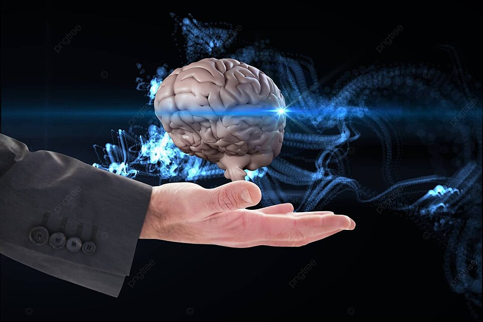 concussion specialist overland park