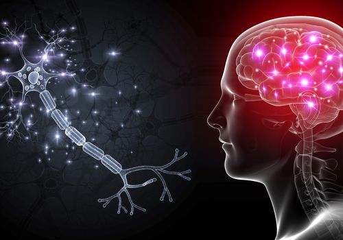 What Happens to the Brain During a Concussion? Understanding the Neurometabolic Cascade
